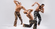 Deeply Rooted Dance Theater 20th Anniversary Season Performance