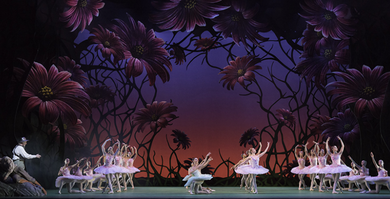 The Royal Ballet in Don Quixote by ROH/JOHAN PERSSON 2013.