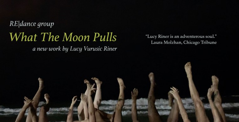 What The Moon Pulls by Lucy Vurusic Riner