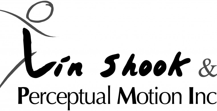 Lin Shook & Perceptual Motion Inc.
